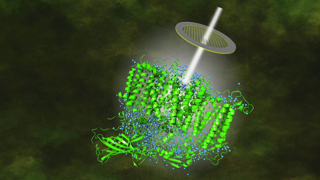 Stilistisk bild över hur en elektronstråle från kryo-mikroskopet träffas av frysta PSII-partiklar varvid en reflektion bildas som möjliggör rekonstruktion av hur atomerna sitter.