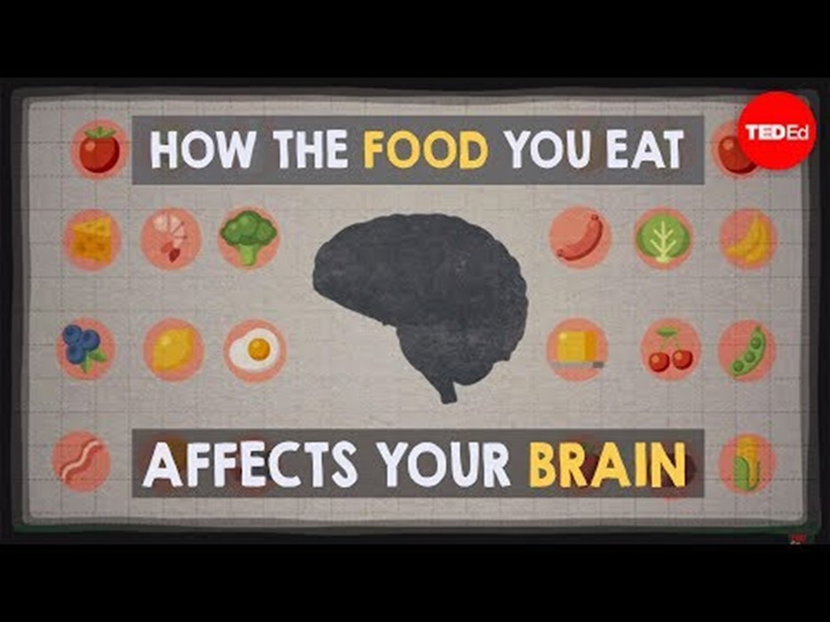 Film: How the food you eat affects your brain