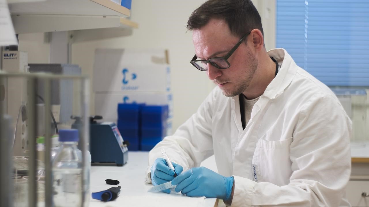 Dmytro doing lab work