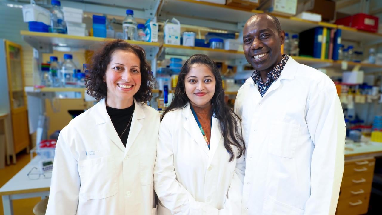 Nasim Sabouri lab