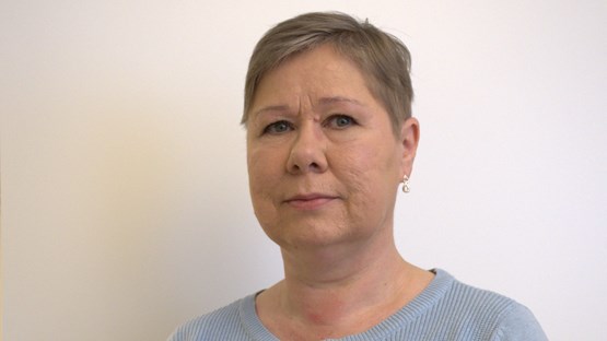 Päivi Jänkälä, Systemutvecklare CEDAR/DDB