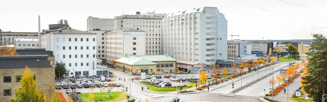 Vy över Norrlands universitetssjukhus