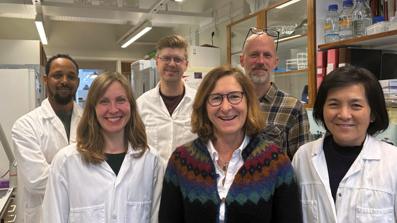 The researchers assembled in lab