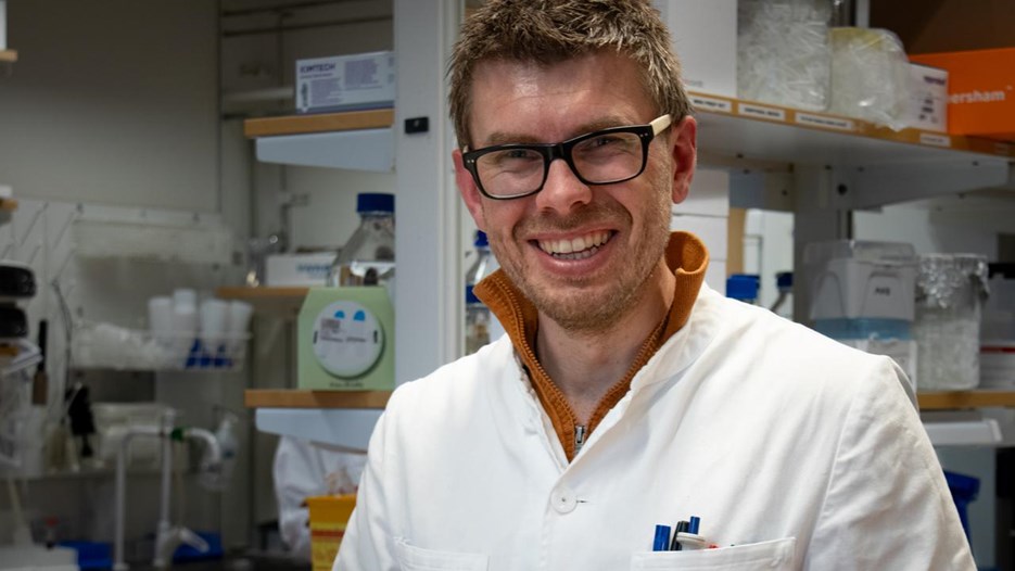 Gå till sida Proteinproduktion och kvalitetskontroll  i mitokondriernas mystiska värld