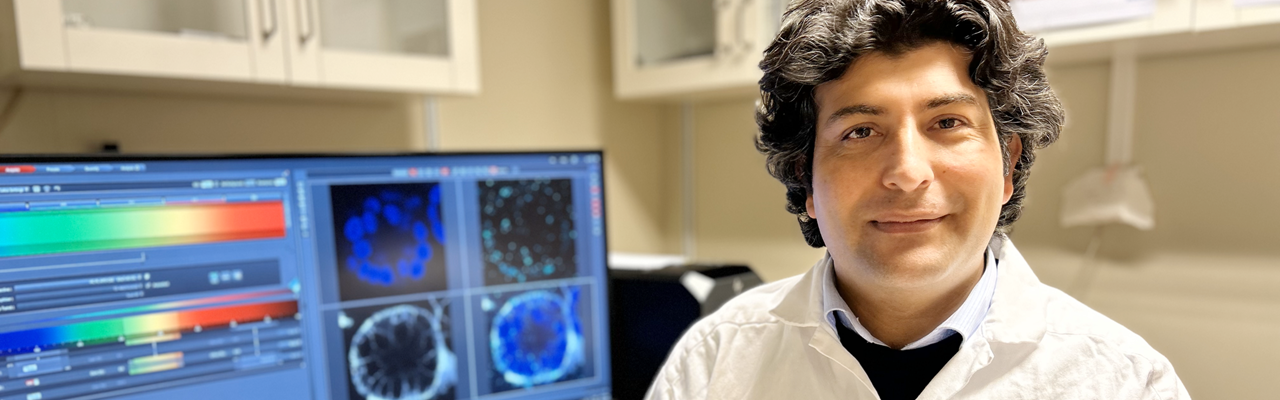Aftab Nadeem vid en datorskärm som visar en bild tagen med konfokalmikroskop på en tarmorganoid som har färgats med olika cellmarkörer.
