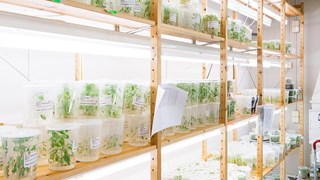 Bild från UPSC Transitionslabb