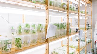 Bild från UPSC Transitionslabb