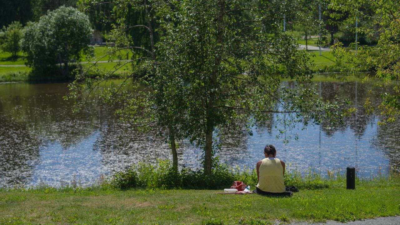 Ume&aring; universitets campus v&aring;rbild