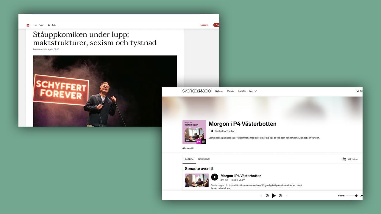 Screenshots fr&aring;n webplatser