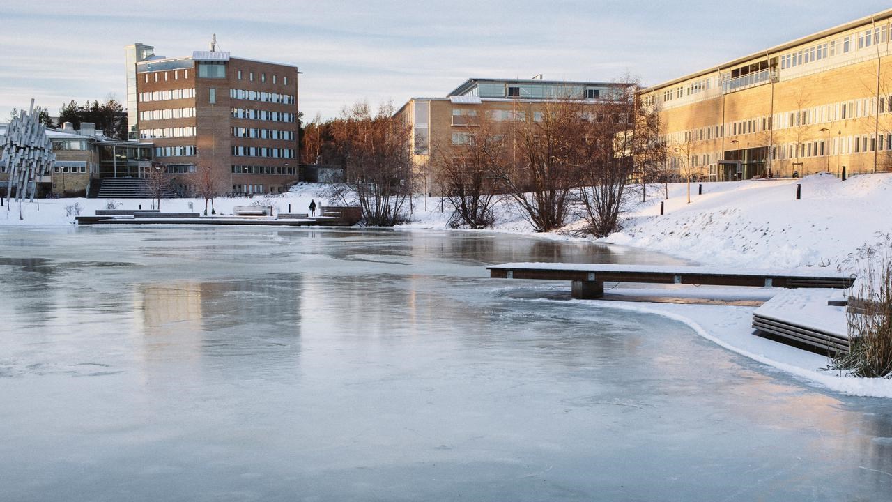 Bild på dammen vinter