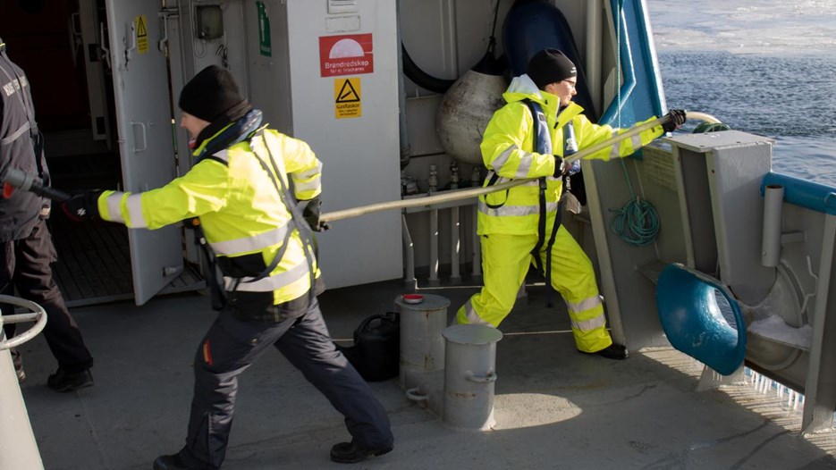 Gå till sida Forskare upptäcker stor ekologisk förändring i Bottniska viken