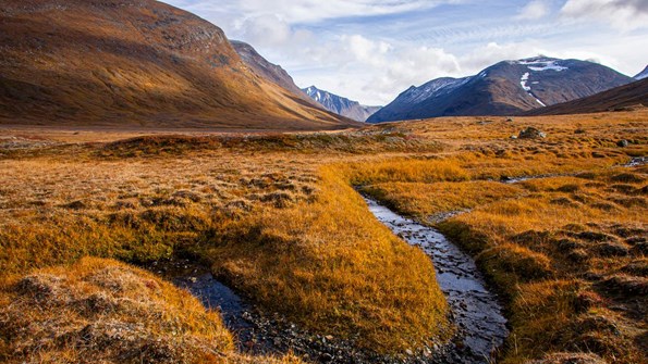 Landskap