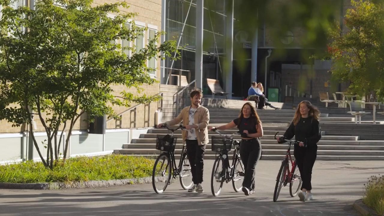Tre studenter vid dammen