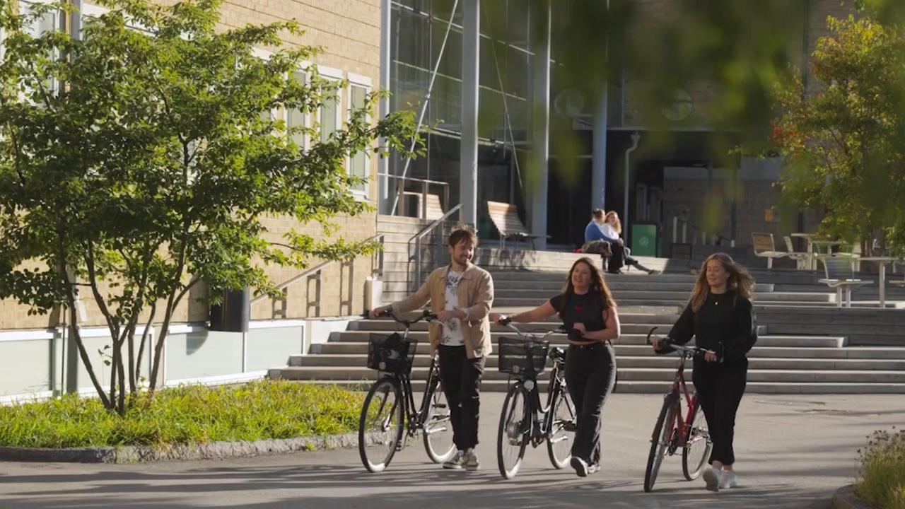 Tre studenter vid dammen