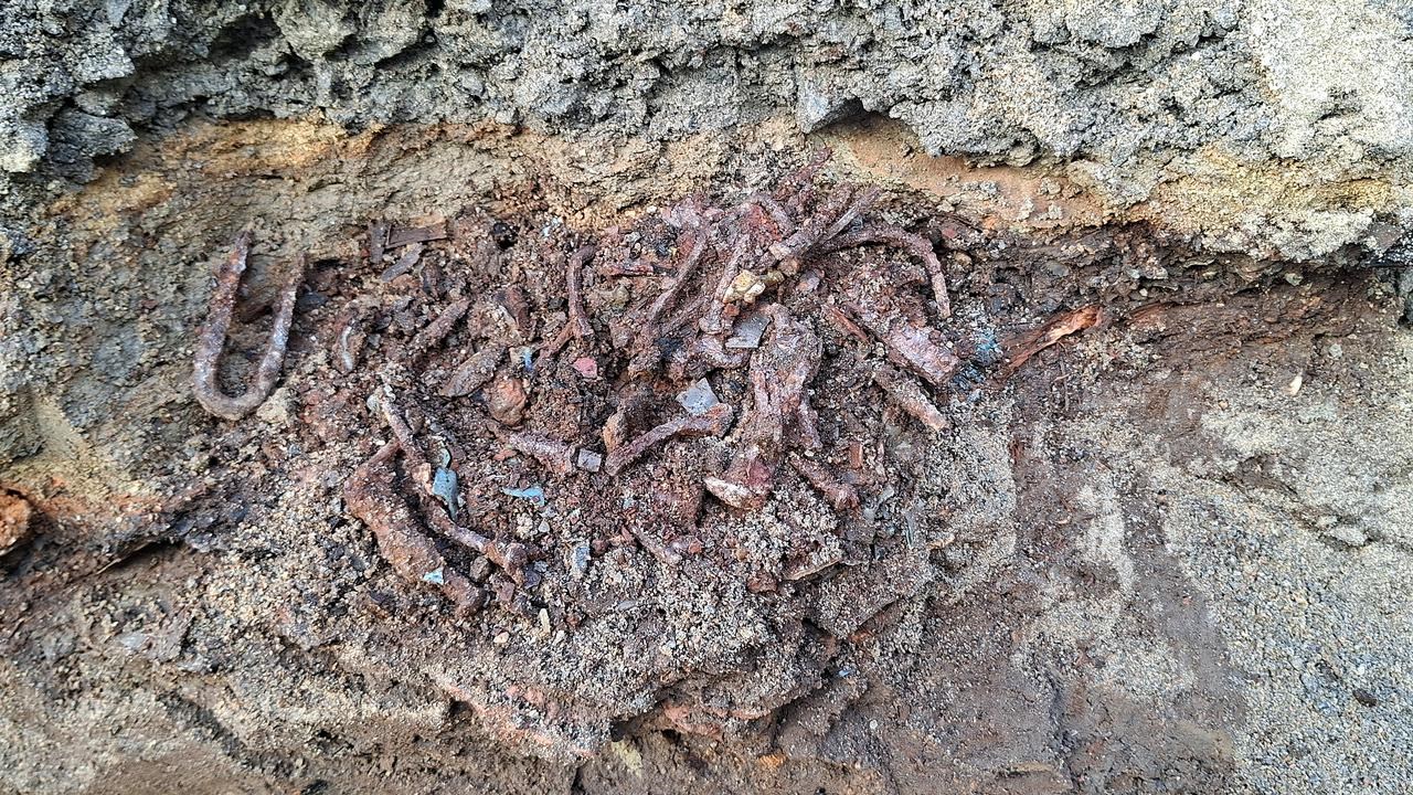 Foto av rostbruna f&ouml;rem&aring;l i en h&ouml;g p&aring; marken.