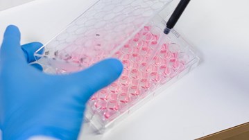 Anna Överby Wernstedt