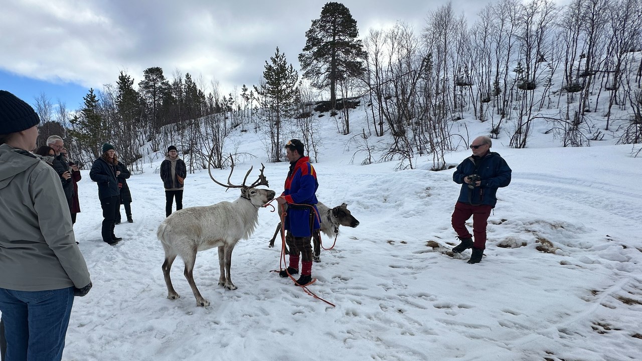 Möte med same och ren i Karasjok