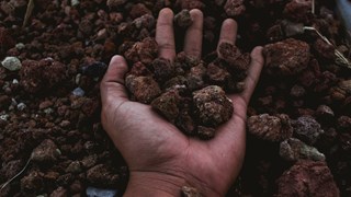 Hands holding brown soil