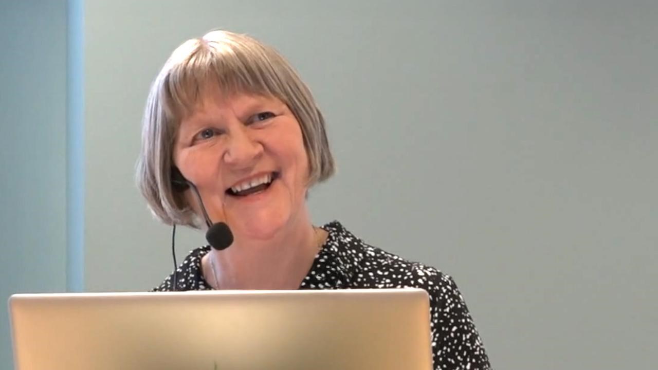 Julie Allan, gästprofessor 2026