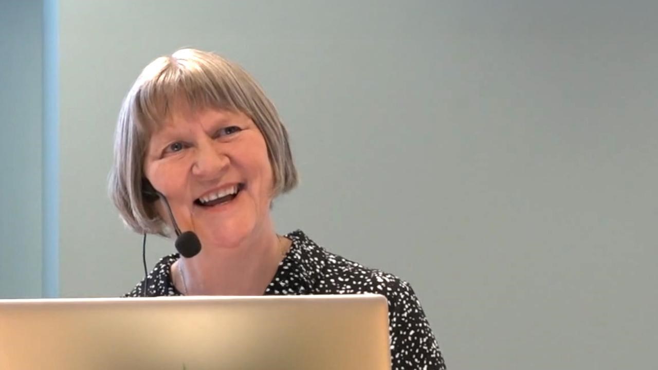 Julie Allan, gästprofessor 2026