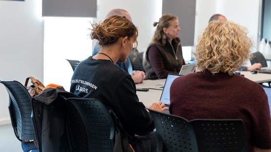 Programråd på Enheten för Polisiärt arbete