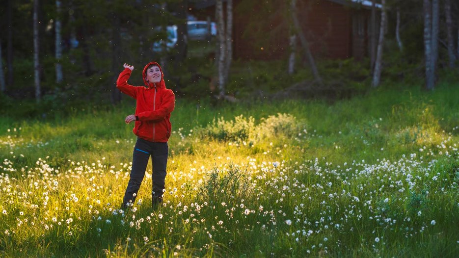 Gå till sida De surrar, sticks och sprider smitta – men myggorna behövs i naturen