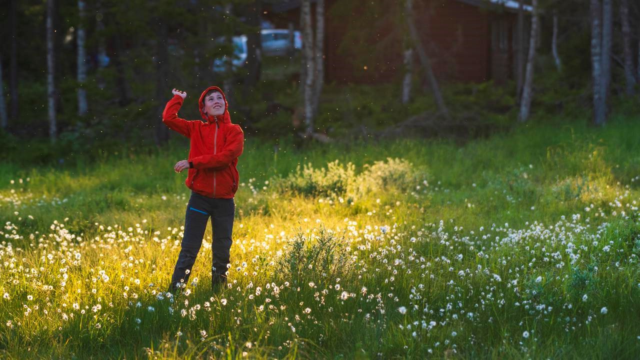 For many people, mosquitoes and biting midges are the greatest nuisance of summer. Yet they are also an important part of ecosystems and can provide researchers with valuable clues about how infectious diseases spread.