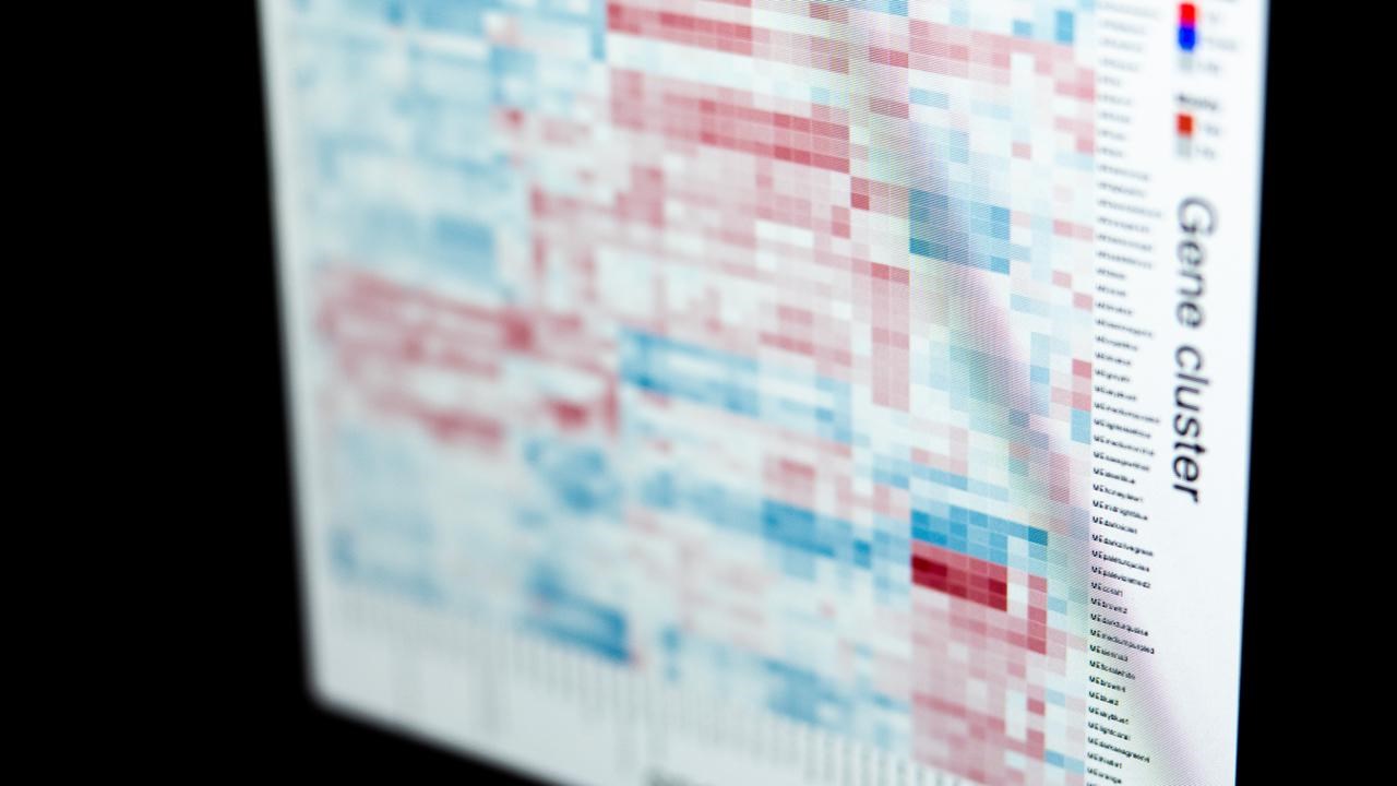 Bild p&aring; datorsk&auml;rm med biologiska data.