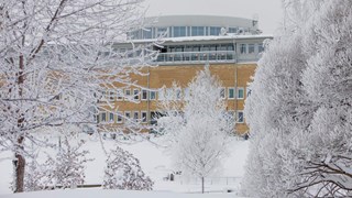 Vinter på campus Umeå