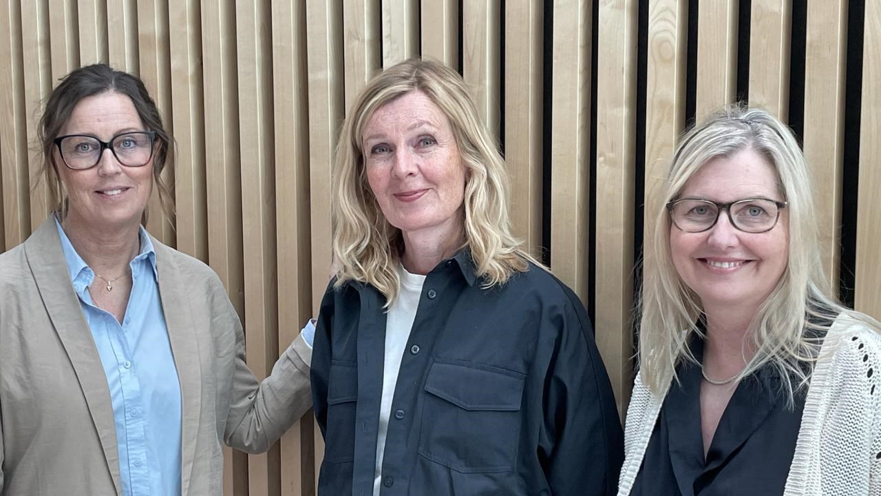 En grupp best&aring;ende av tre kvinnor som st&aring;r bredvid varandra.