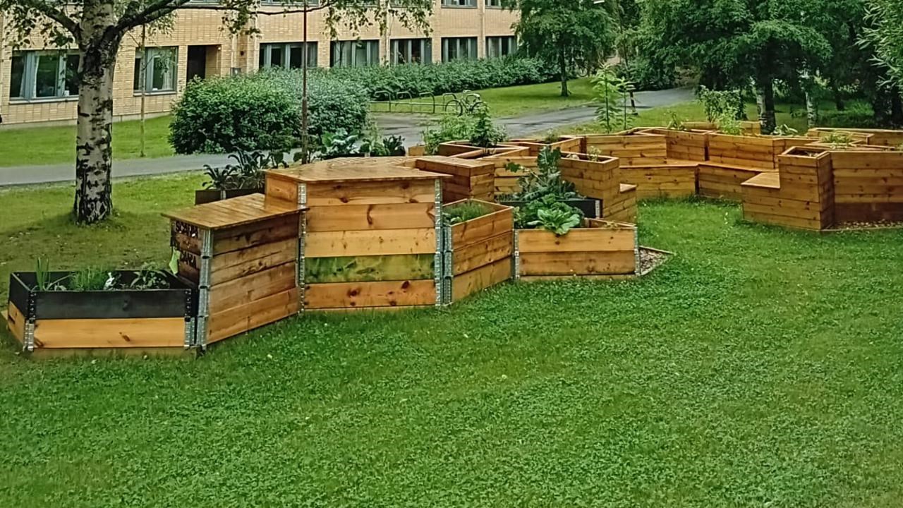 The image shows the raised bed structures of the campus garden at Umeåuniversity from afar with the university buildings in the background and treessurrounding the structure.