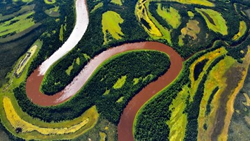 Flygbild som visar en flods meanderlopp i Alaska eller Kanada.