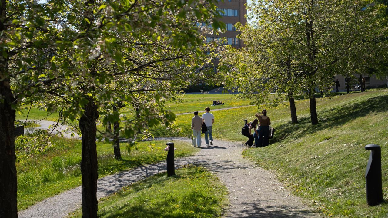 Sommar p&aring; campus vid dammen