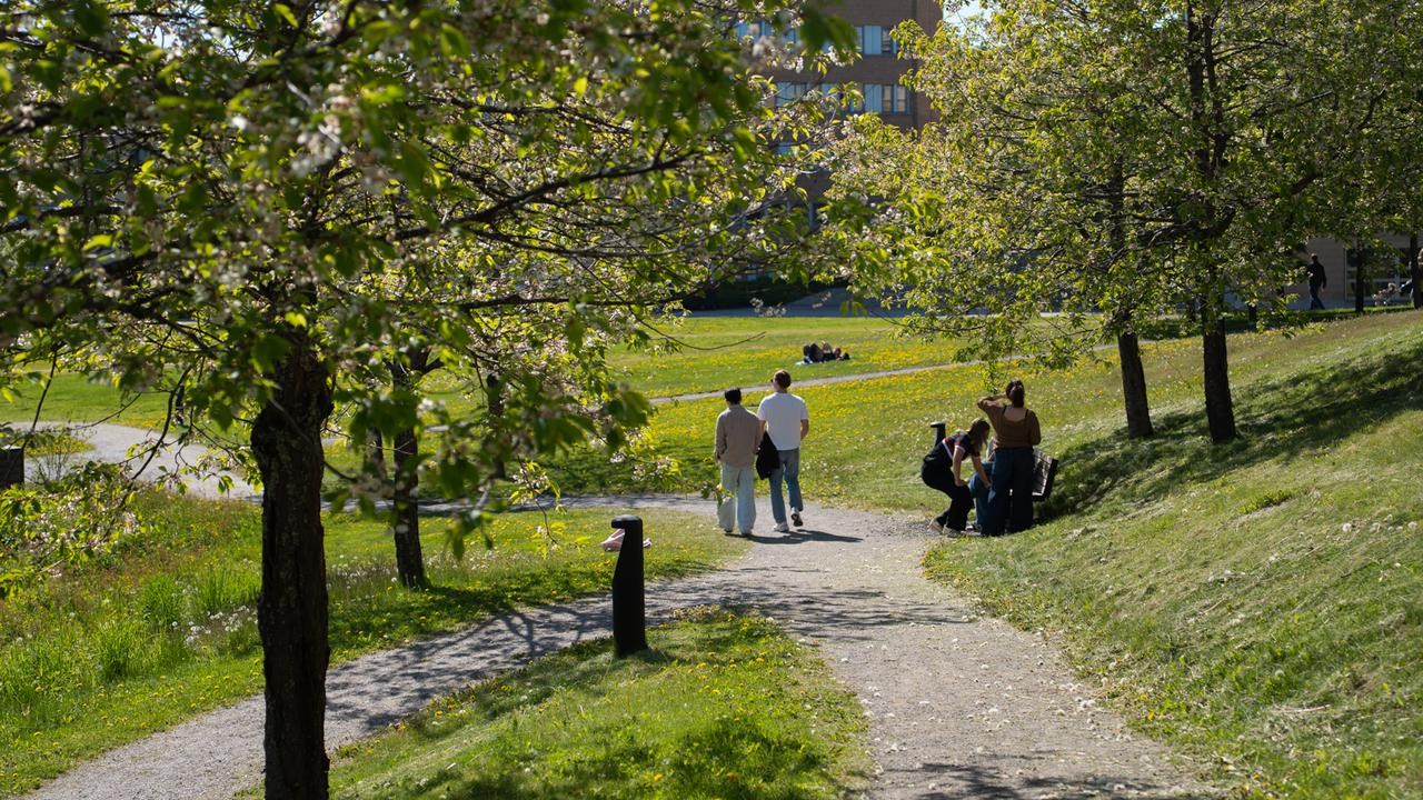 Sommar p&aring; campus vid dammen