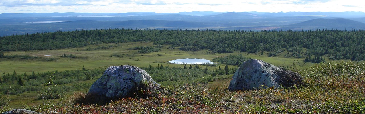 Utsikt från Nalovardo-toppen