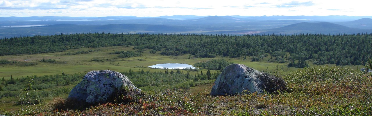 Utsikt från Nalovardo-toppen