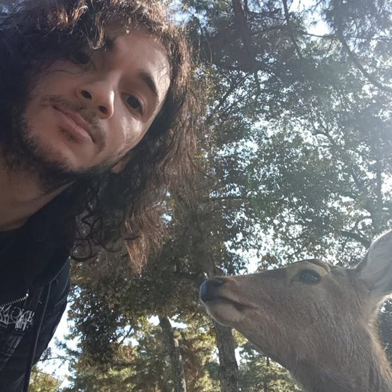 En person tar en selfie i parkmiljö med ett rådjur, vars huvud sticker upp i underkant på bilden. I bakgrunden syns flera lummiga träd som släpper igenom strålande solljus.