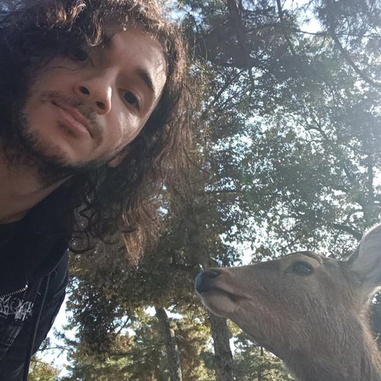 En person tar en selfie i parkmiljö med ett rådjur, vars huvud sticker upp i underkant på bilden. I bakgrunden syns flera lummiga träd som släpper igenom strålande solljus.