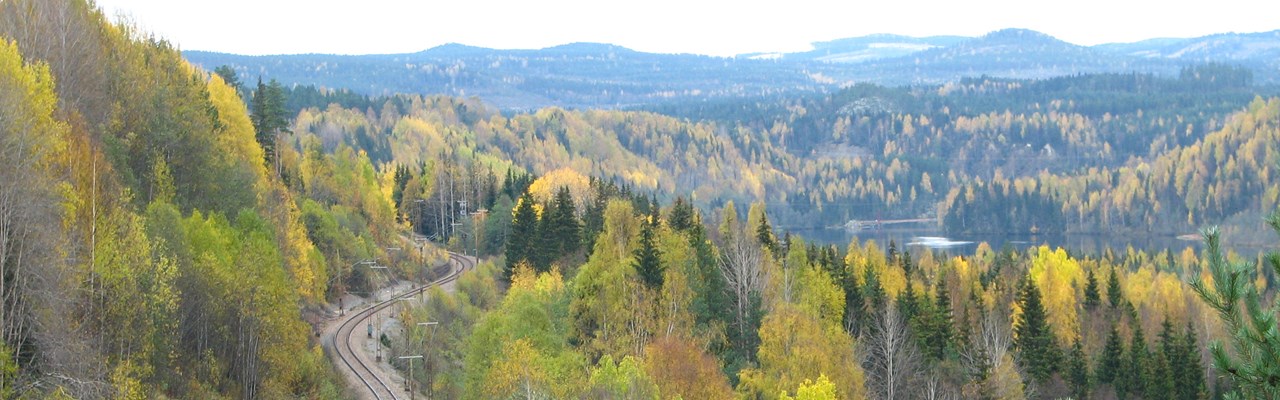 Foto av tågräls som slingrar sig genom ett landskap med skog och berg.
