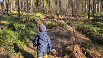 En person som går genom en skog med många träd.