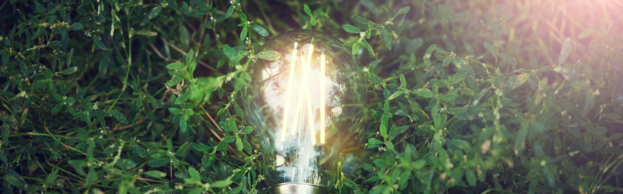 Glödlampa på marken