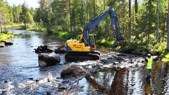 En grävmaskin som arbetar med en bäck i skogen.