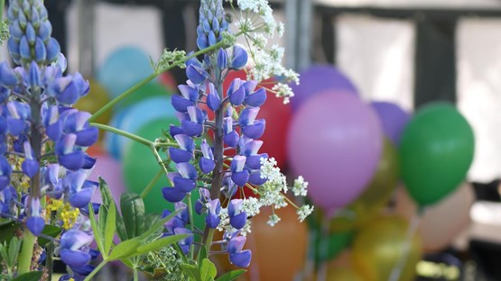 A bunch of balloons and flowers in a vase.