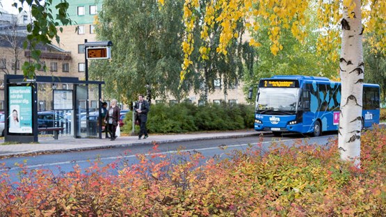 Buss anländer till busskuren vid Universum om hösten.