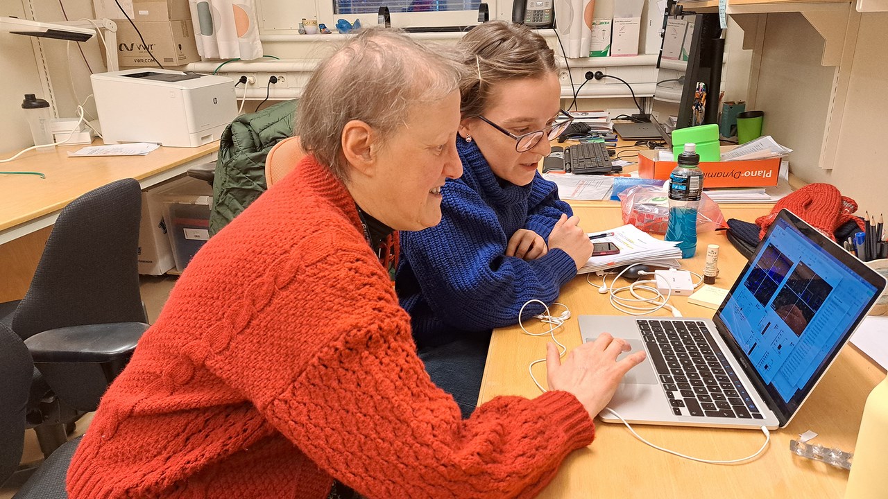 Bild på Teresa Frisan och Maria Lopez Chiloeches sittande vid dator på Institutionen för molekylärbiologi.