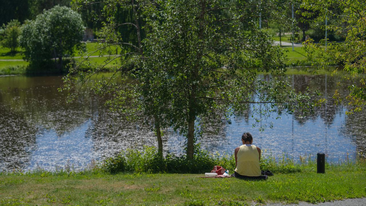 Ume&aring; universitets campus v&aring;rbild