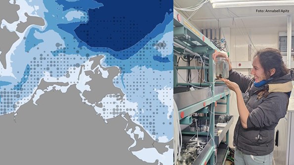 Montage of map and photo of Laura Fuchs performing experiments