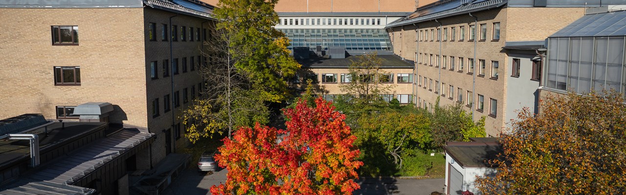 Campus i höstfärger, drönarstillbild