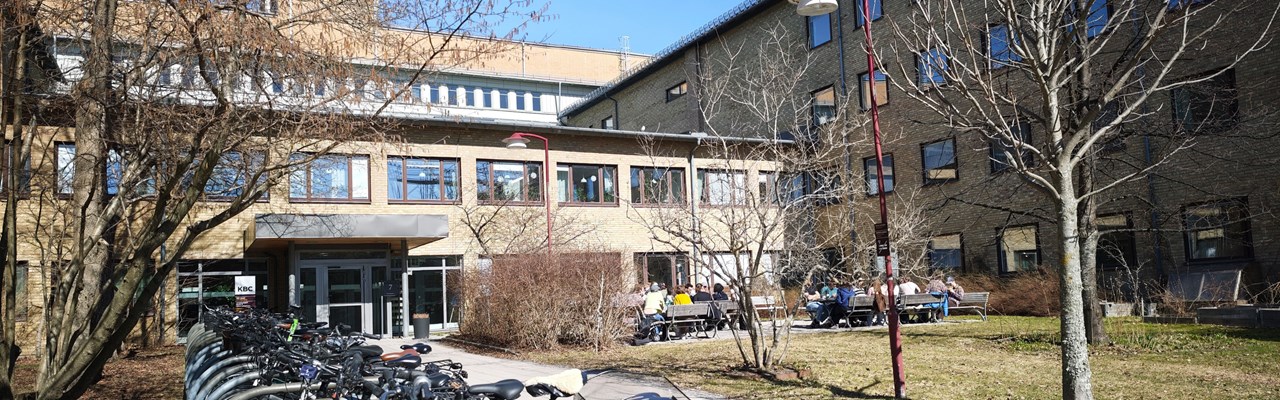 A row of bikes parked next to each other in front of a building.