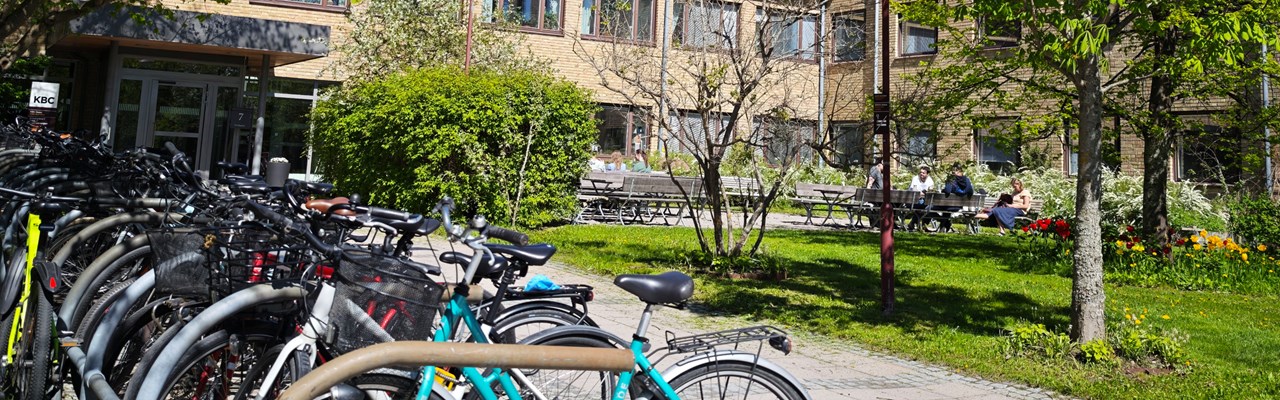 A row of bicycles parked in front of a building.